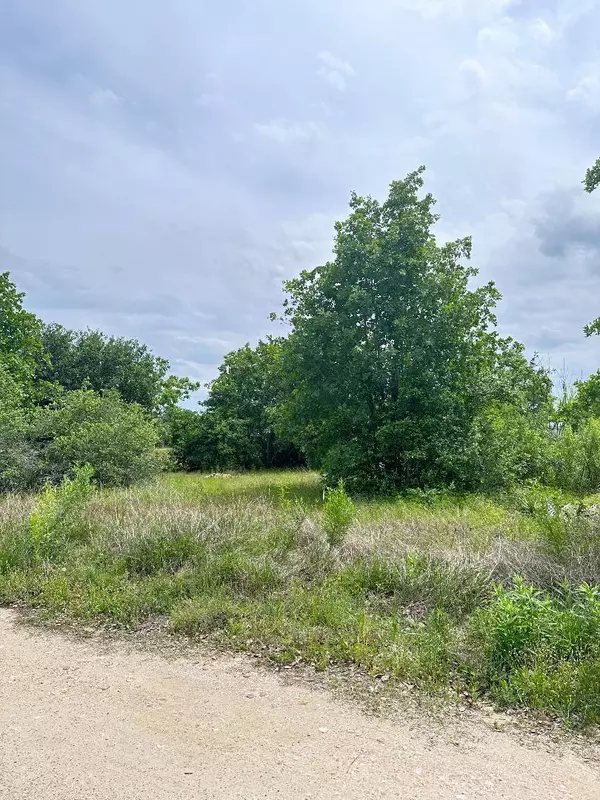 138 Wild Bird LOOP, Smithville, TX 78957