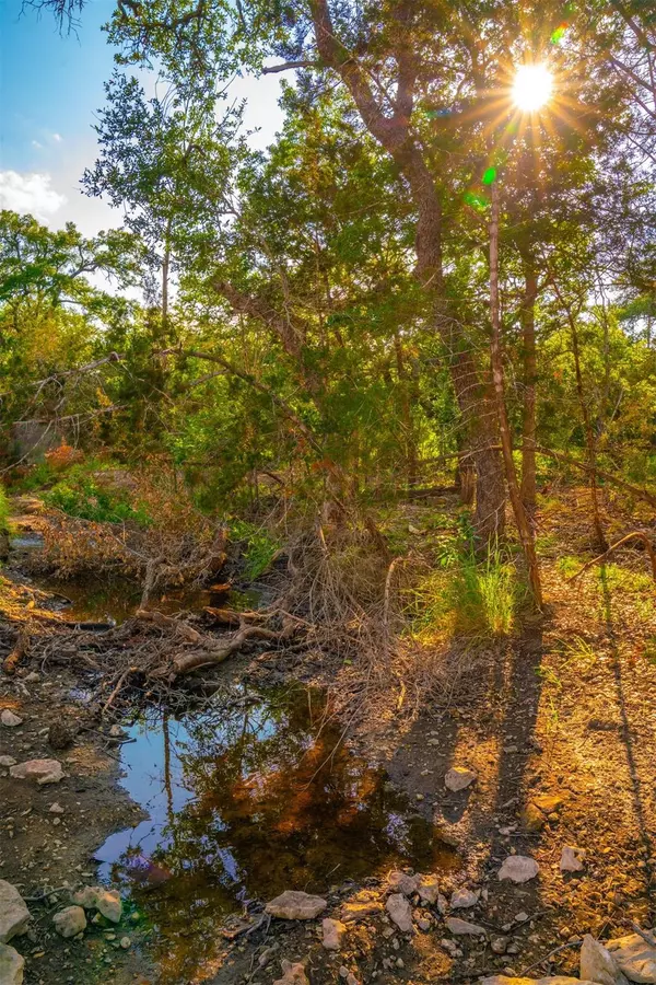 Dripping Springs, TX 78676,000 Winding Creek RNCH