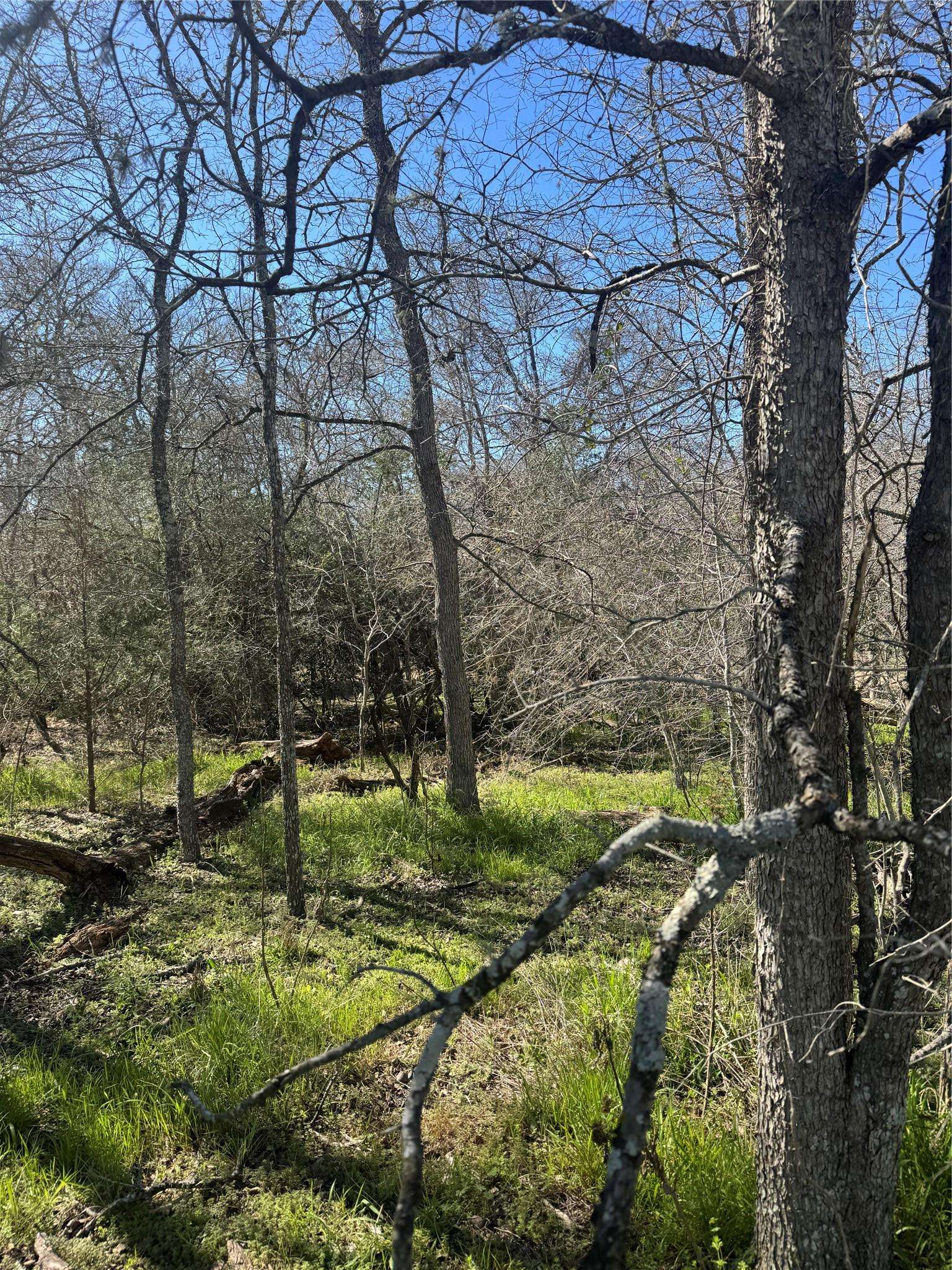 289 Iva LN, Bastrop, TX 78602
