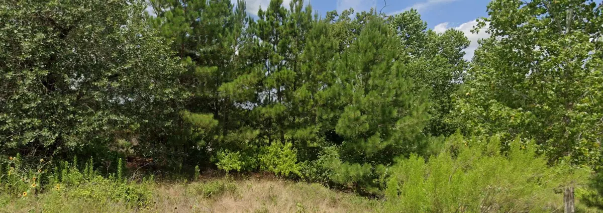 Bastrop, TX 78602,001 Kipahulu LN