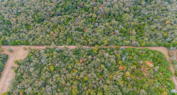 Lexington, TX 78947,TBD County RD #415