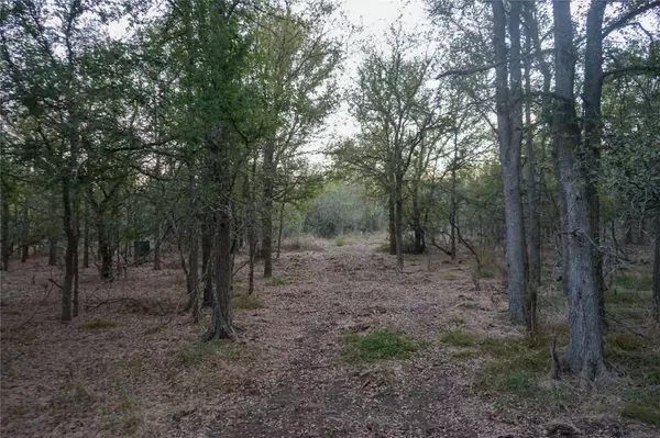 Elgin, TX 78621,3935 County Road 464