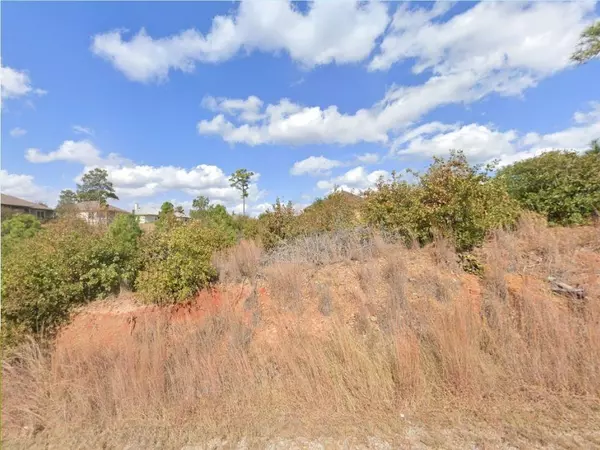 Bastrop, TX 78602,0 W Kaanapali LN