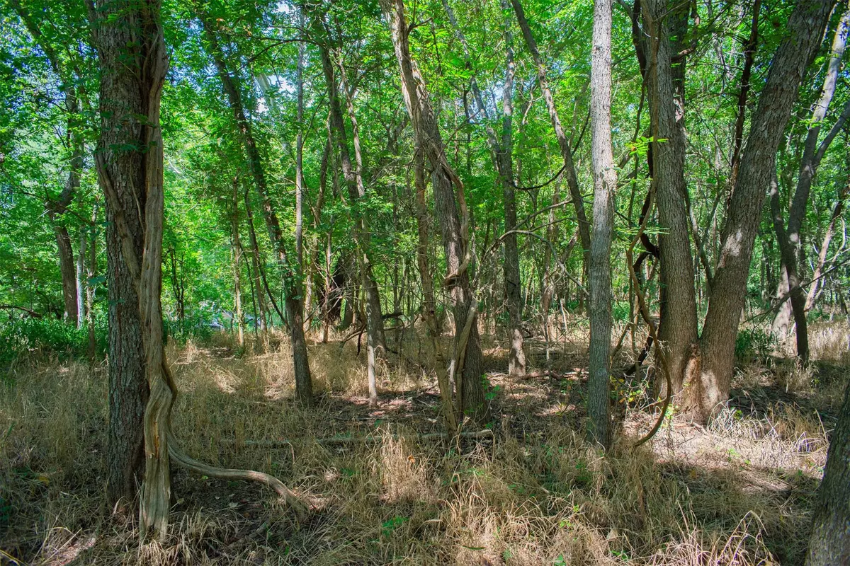 Bastrop, TX 78602,128 Kaukonahua LN