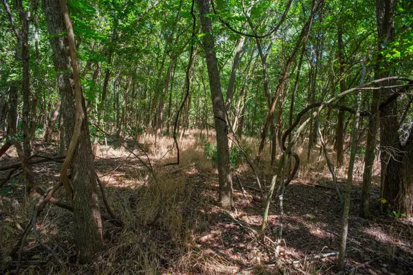 Bastrop, TX 78602,128 Kaukonahua LN