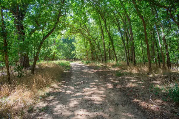 Bastrop, TX 78602,128 Kaukonahua LN