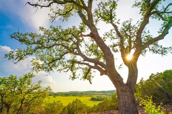 Dripping Springs, TX 78676,000 Spring Creek Ranch