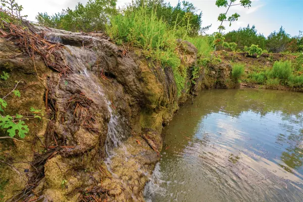 Dripping Springs, TX 78676,000 Spring Creek Ranch