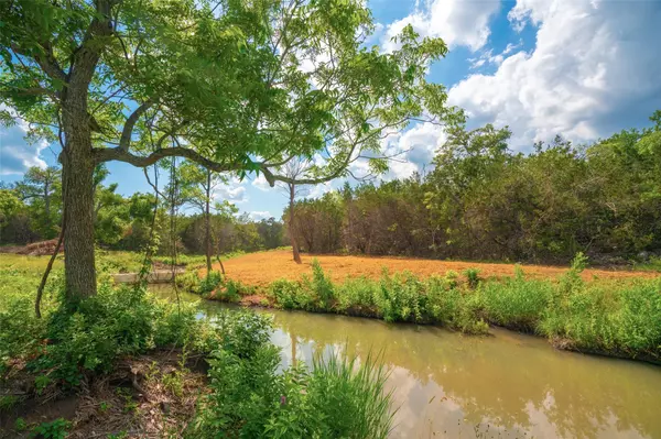 Dripping Springs, TX 78676,000 Spring Creek Ranch