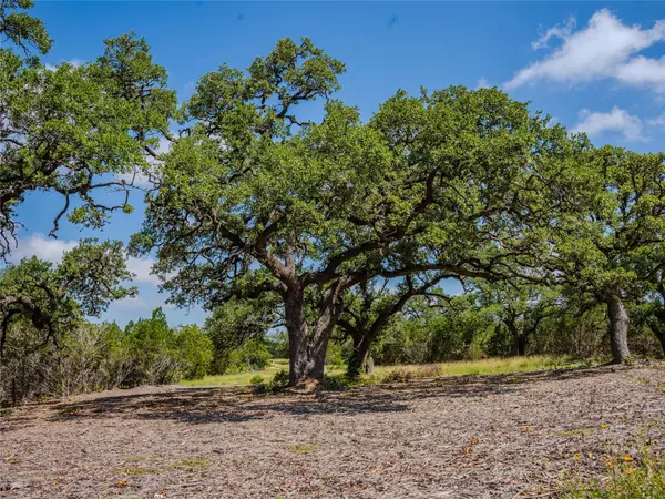 Dripping Springs, TX 78676,000 Heritage Creek Ranch