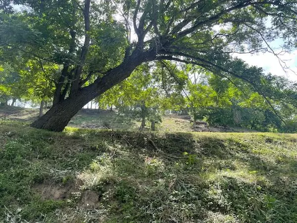 Bergheim, TX 78004,Lot 248 & 247 River Forest DR