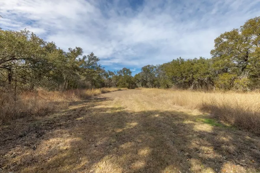 3547 W State Highway 29, Bertram, TX 78605