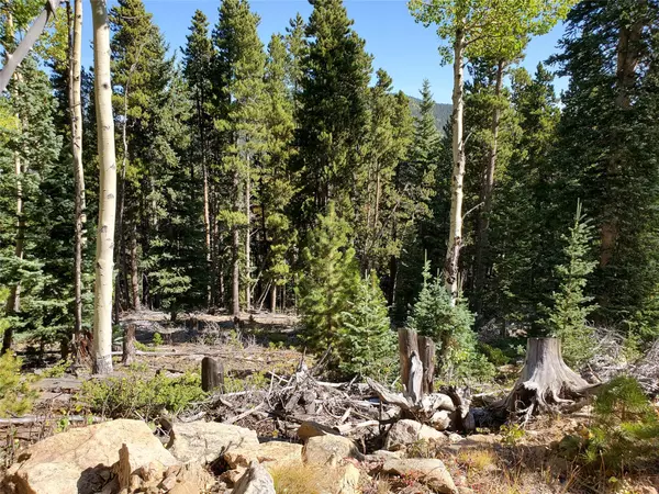 Out Of State, CO 80452,400 Long Road RD