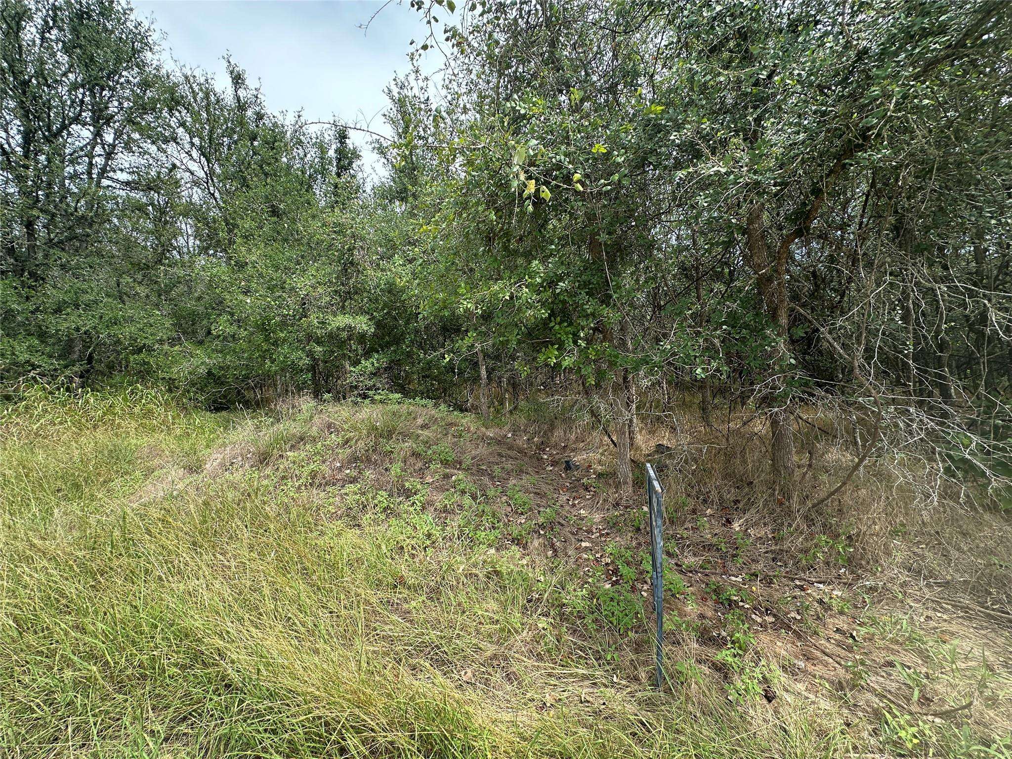 Bastrop, TX 78602,107 Halawa CT