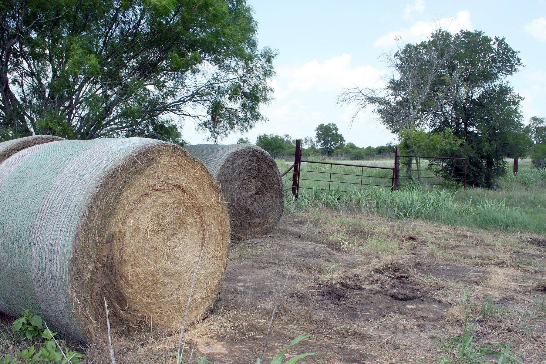 TBD FM 86 HWY, Lockhart, TX 78644