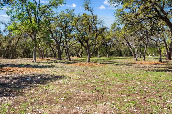 Austin, TX 78620,33524 Brooks Ranch RD