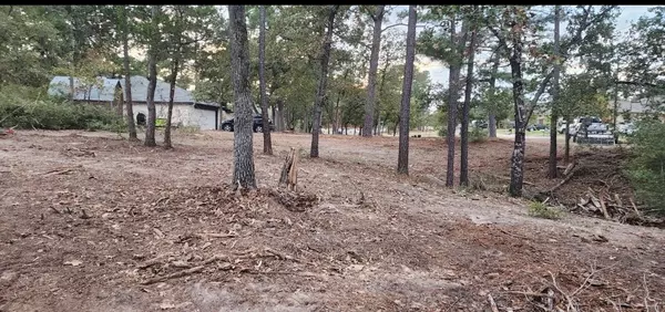 Bastrop, TX 78602,00 Pahoiki LN