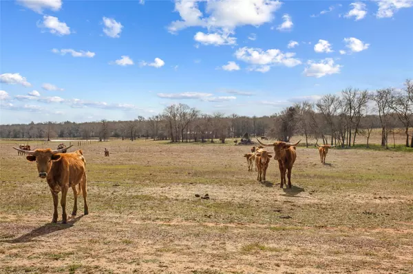 Lexington, TX 78947,TBD (30/AC) County Road 309