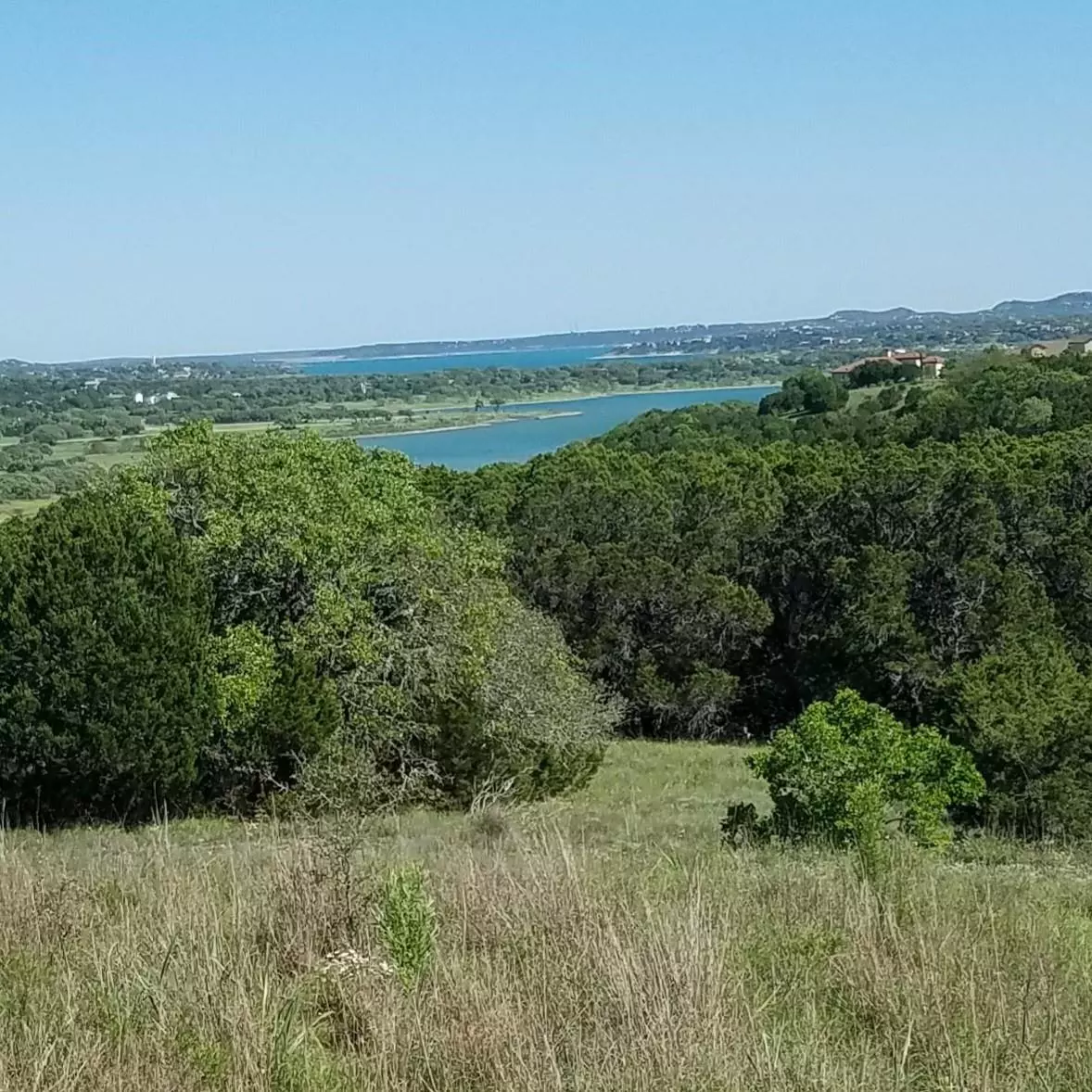Spring Branch, TX 78070,506 Gray Fox