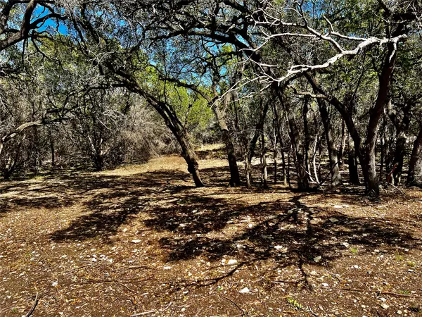 Lago Vista, TX 78645,21300 HIGHLAND LAKE DR