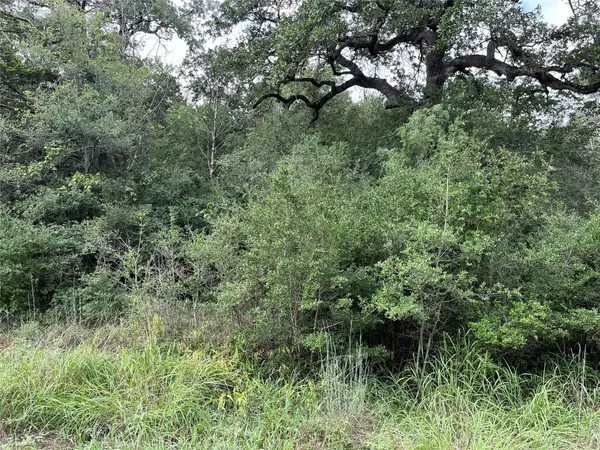 Bastrop, TX 78602,Lot 764 Nene LN