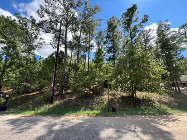 Bastrop, TX 78602,000 Mamalu DR