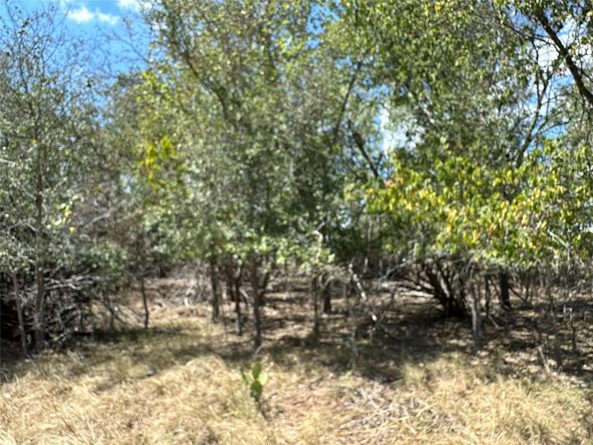Bastrop, TX 78602,1387 Lovers LN