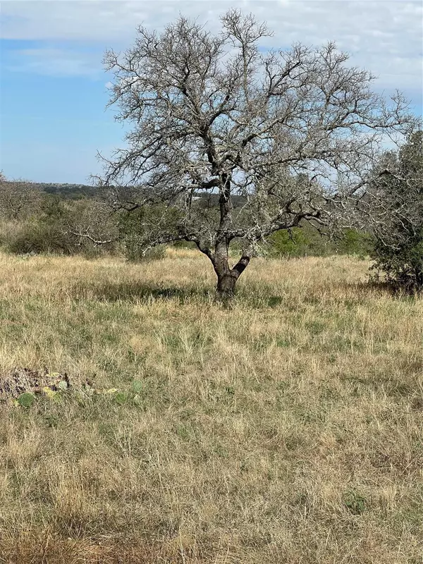 Llano, TX 78643,000 Madden Ranch RD