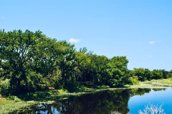 8060 County Road 210 RD, Bertram, TX 78605