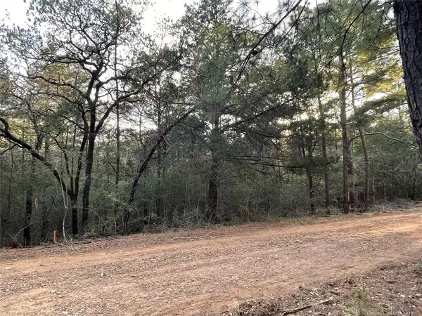 Bastrop, TX 78602,LOT 1305 Hanauma DR