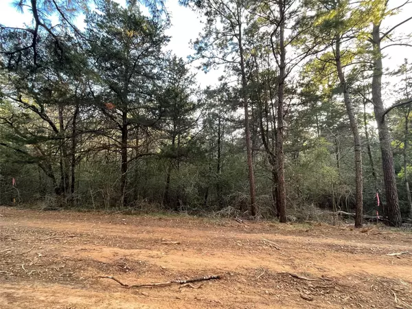 Bastrop, TX 78602,LOT 1305 Hanauma DR