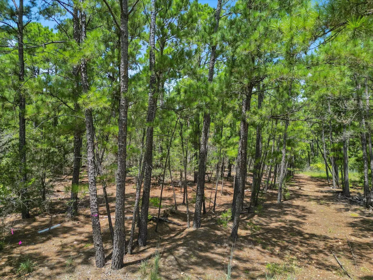 Bastrop, TX 78602,Lot 55 Akala LN