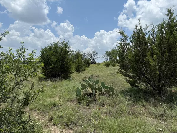Lampasas, TX 76550,70 Mourning Dove LN