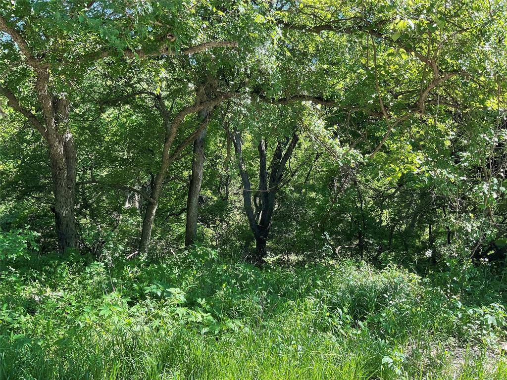 4205 Imperial DR, Austin, TX 78725