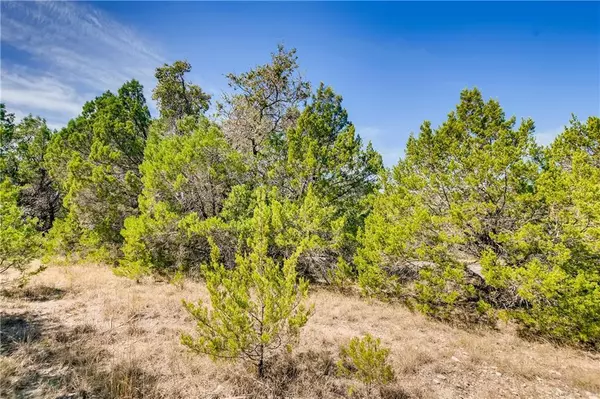 Lago Vista, TX 78645,2807 Newton DR