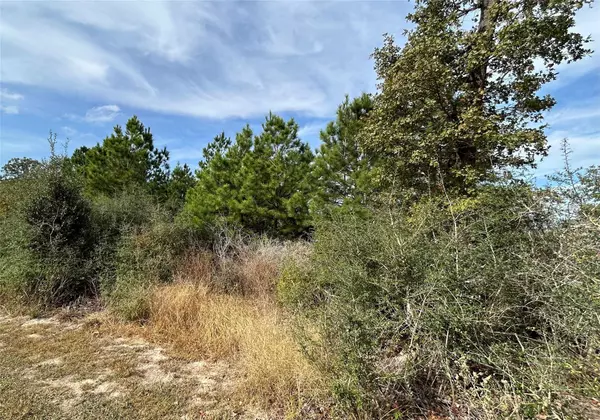 TBD Jim Bowie DR, Paige, TX 78659