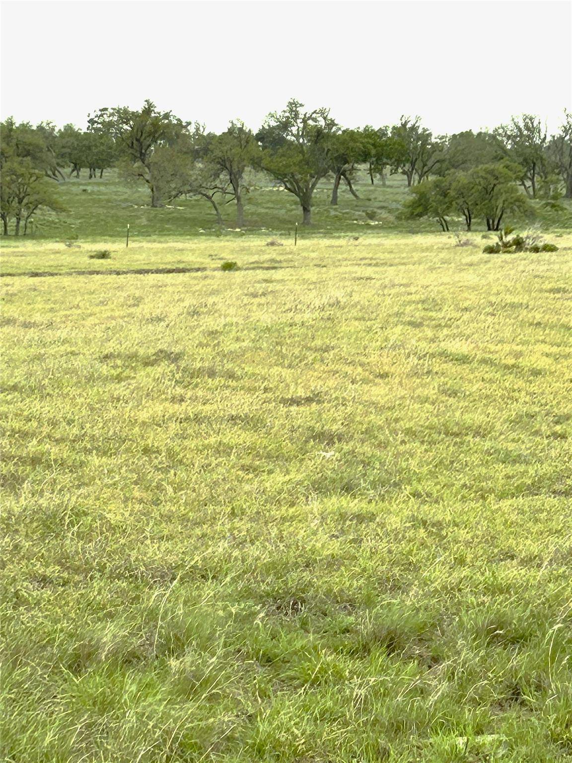 Harper, TX 78631,tract 13 Ranch Ed 783 RDS