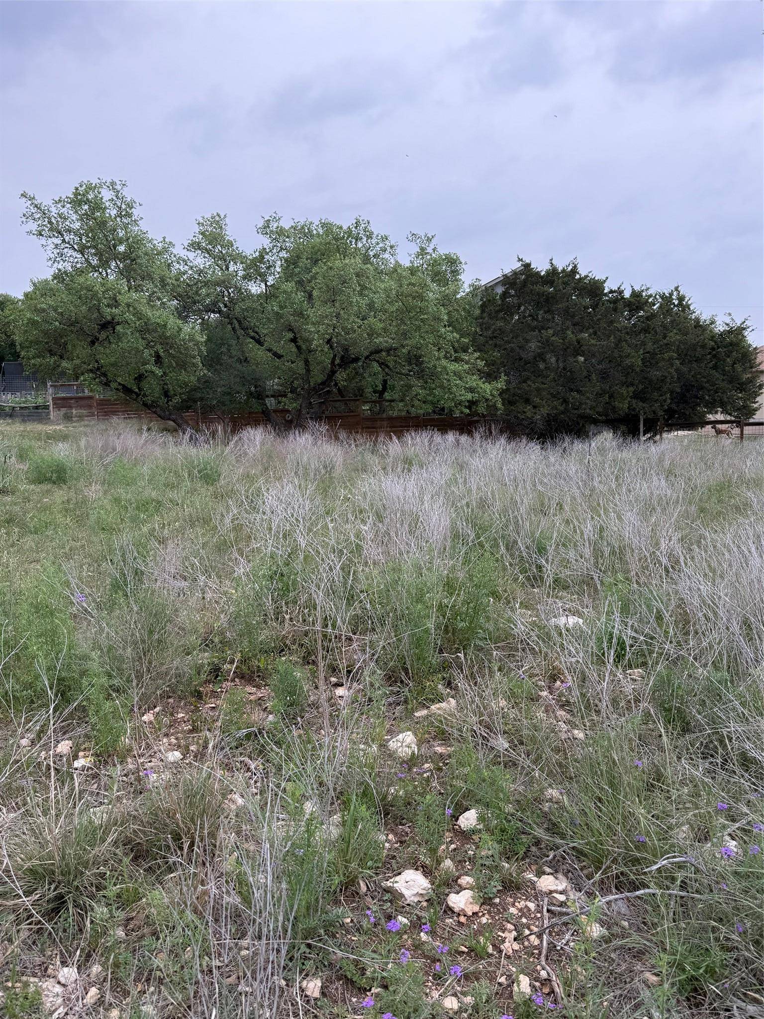 Dripping Springs, TX 78620,0 Panorama DR
