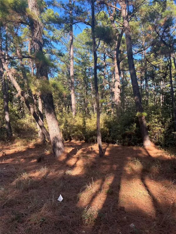 Bastrop, TX 78602,Lot 43 Pine Lodge DR