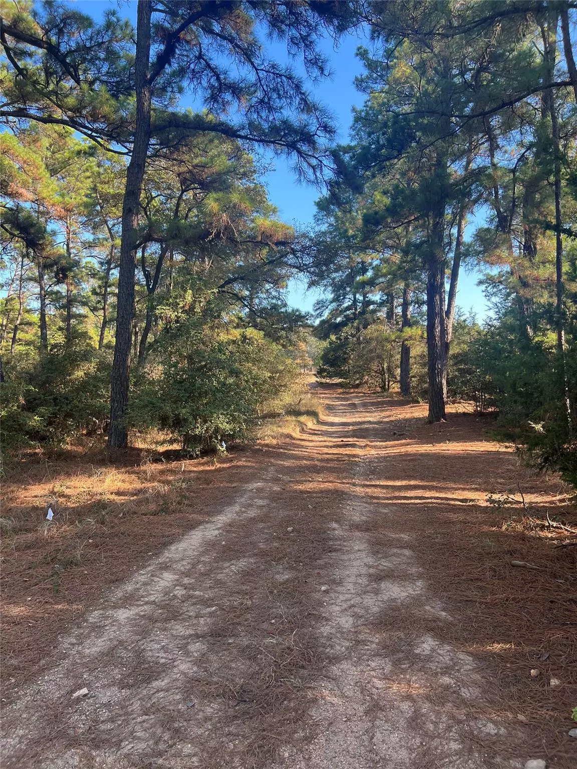 Bastrop, TX 78602,Lot 43 Pine Lodge DR