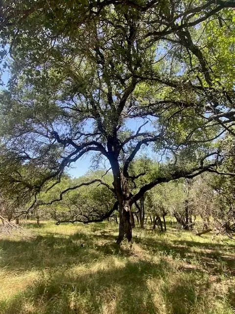 Bertram, TX 78605,3 Becky LN