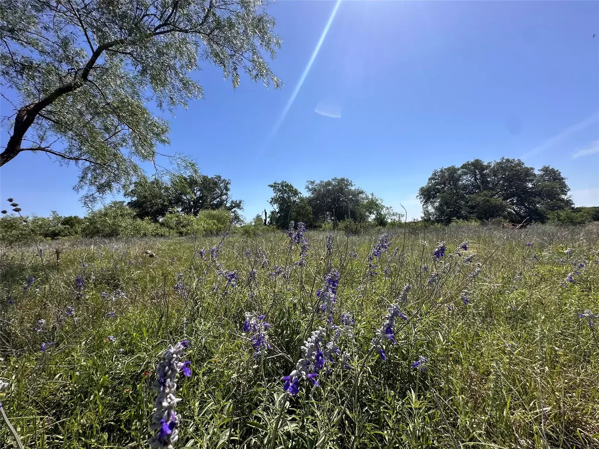 Bertram, TX 78605,Lot 49 Serenity DR