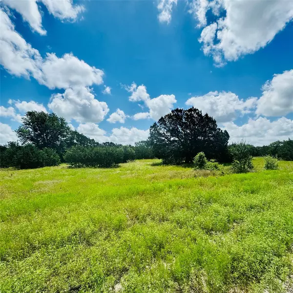 Bertram, TX 78605,Lot #33 Riparian Elm RD