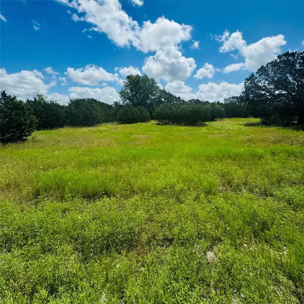 Bertram, TX 78605,Lot #33 Riparian Elm RD