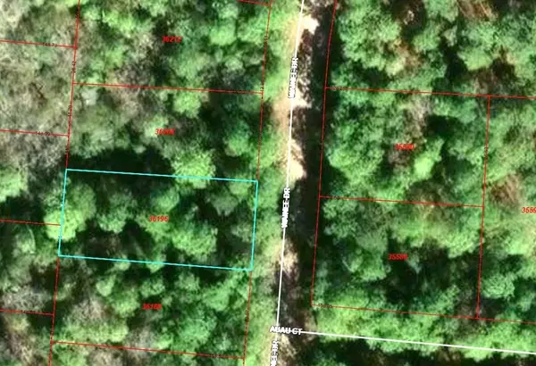 Bastrop, TX 78602,Lot 356 Wainee DR
