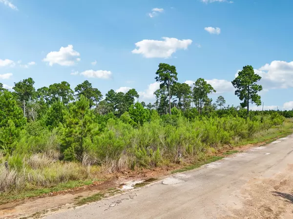 Smithville, TX 78957,210 Old Antioch RD