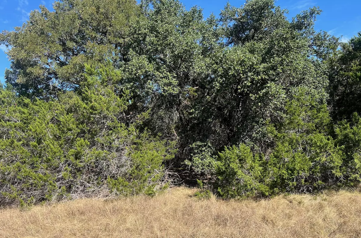 Blanco, TX 78606,1366-E Narrows RD