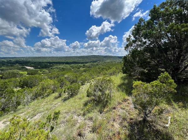 105 Woodhollow DR, Bertram, TX 78605