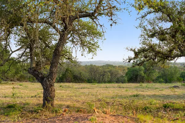 Spicewood, TX 78669,Private Road #10 Pedernales Canyon TRL
