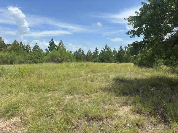 Bastrop, TX 78602,141 Tall Forest DR